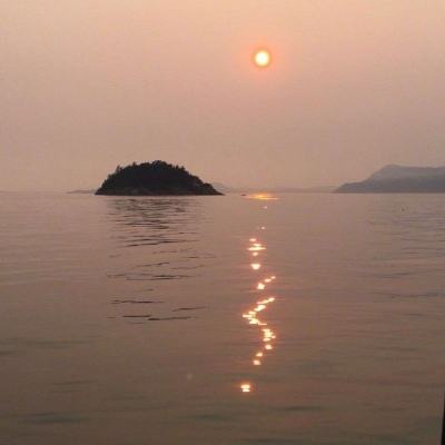 风流修仙手游
